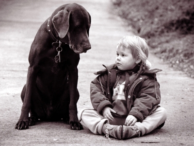 Dogs and Babies